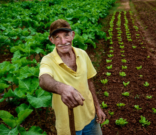 Aposentadoria Rural em São João da Boa Vista